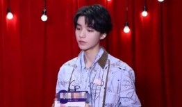 王俊凯爆料自己视频下载,揭秘明星隐私保护之道